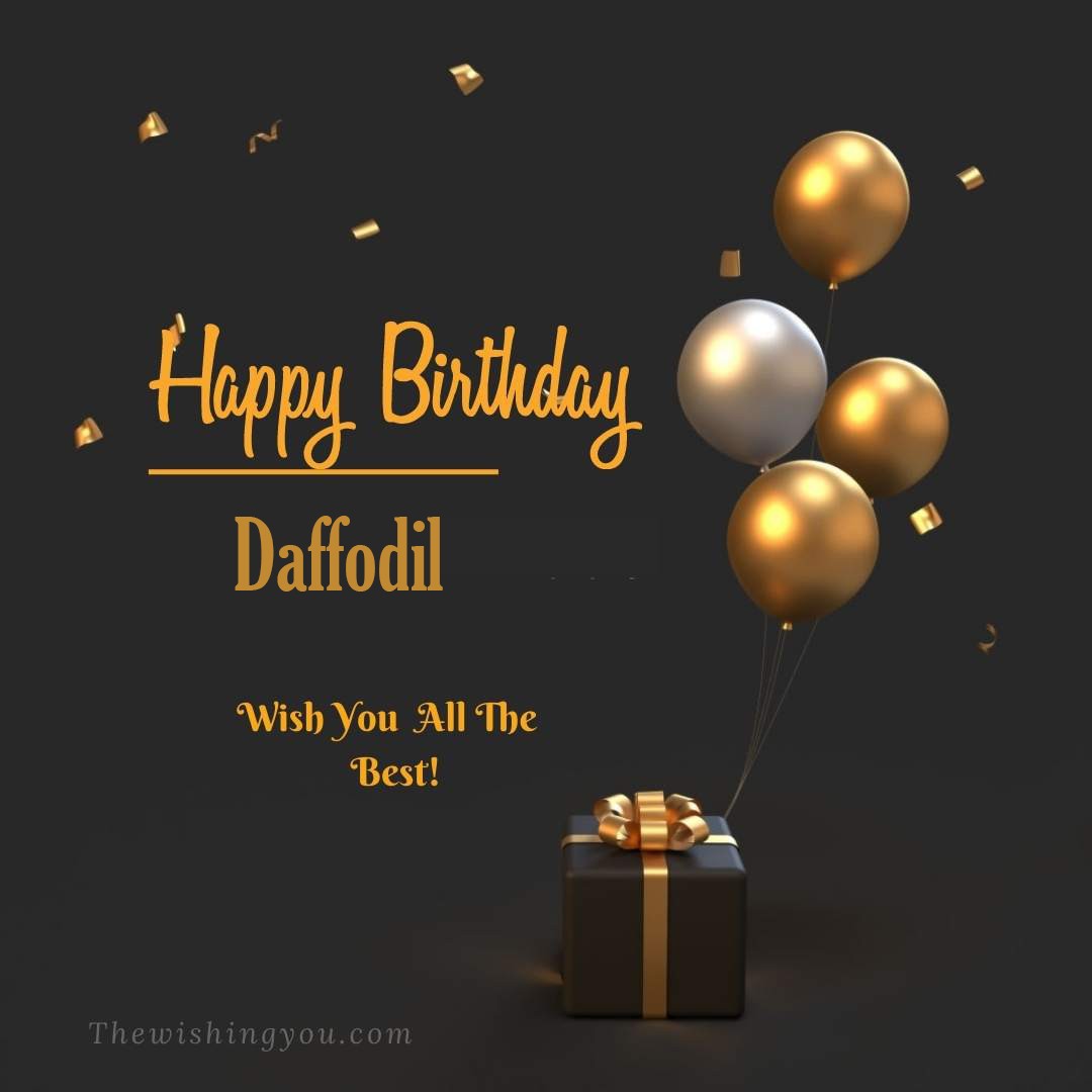 Happy birthday Daffodil written on image Light Yello and white Balloons with gift box Dark Background
