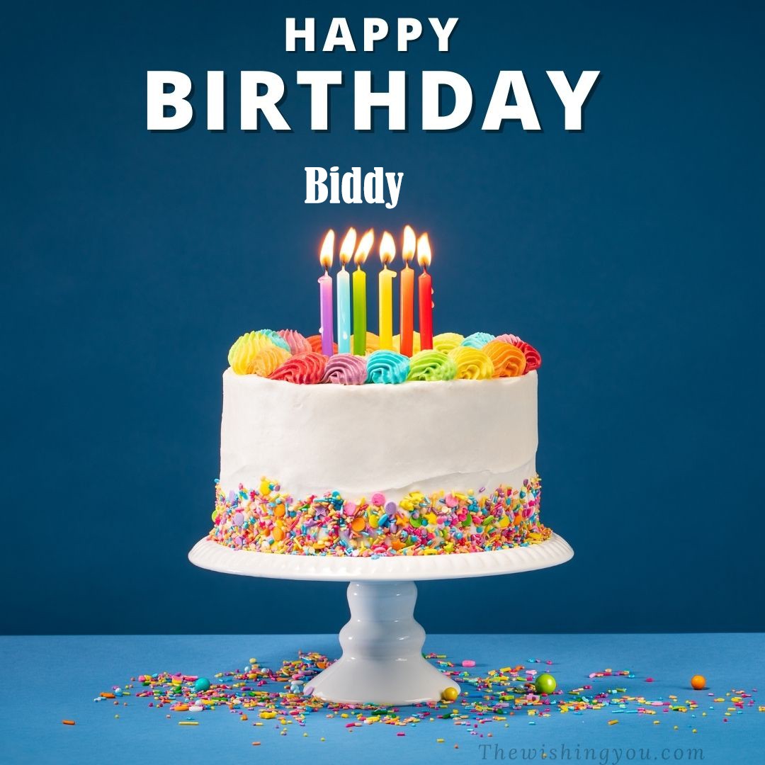 Happy Birthday Biddy written on image White cake keep on White stand and burning candles Sky background